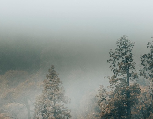 Gallery Of Photography By Rocio Del Valle - Chile