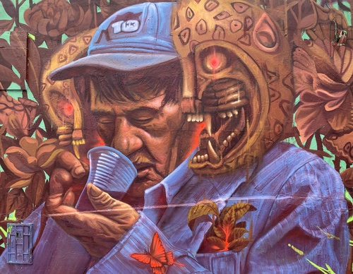 Gallery Of Street Art By Kiki - Brazil