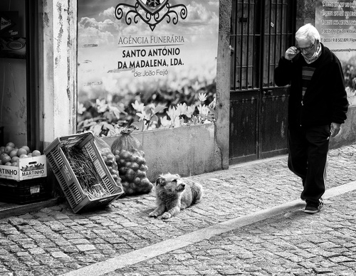 Gallery Of Photography By João Madureira - Portugal