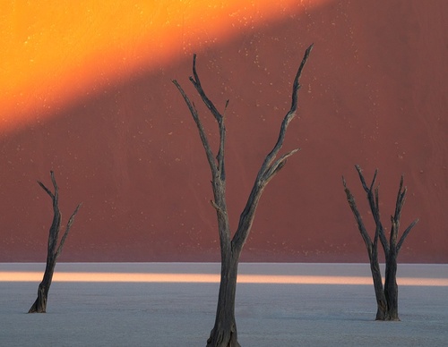 Gallery Of Photography By Marco Grassi - Argentina