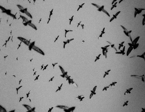 Galería de fotografía de Sebastián López Brach - Argentina