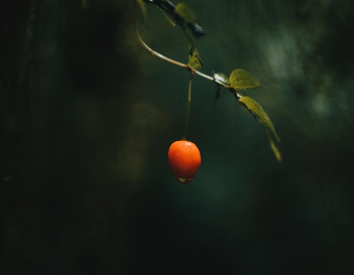 Gallery Of Photography By Rocio Del Valle - Chile
