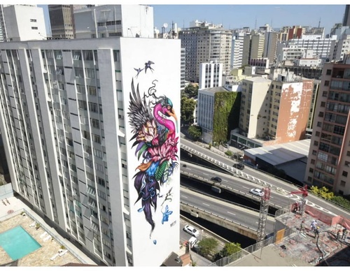 Gallery Of Street Art By Bailon - Brazil