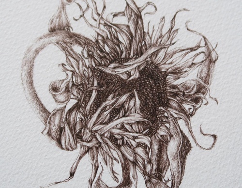 Gallery of Drawing by GiacoMina Ferrillo-Italy