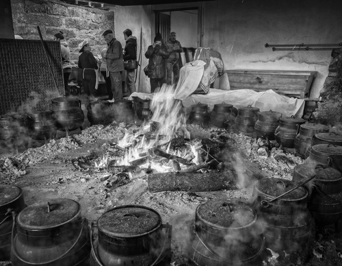 Gallery Of Photography By João Madureira - Portugal