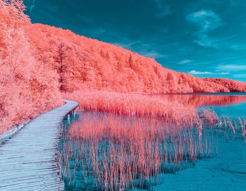 Gallery Of Photography By Paolo Pettigiani - Italy