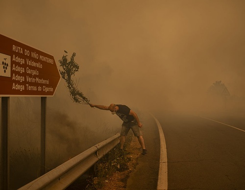 world press photo