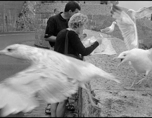 leonard freed