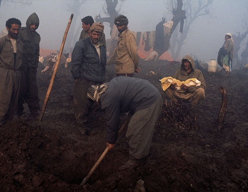 bruno barbey