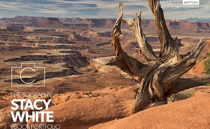 Stacy White Photography