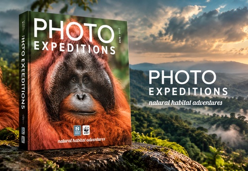 PHOTO EXPEDITIONS