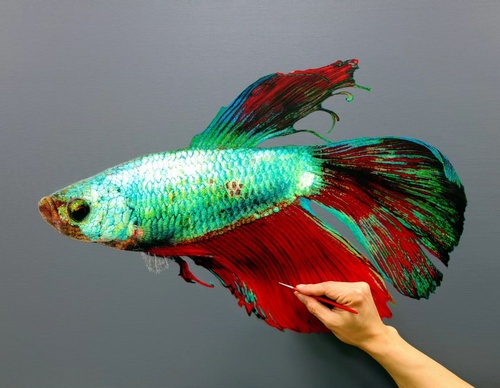 Gallery Of Realistic Painting By Young-sung Kim - South Korea