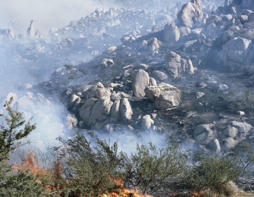 gregory halpern
