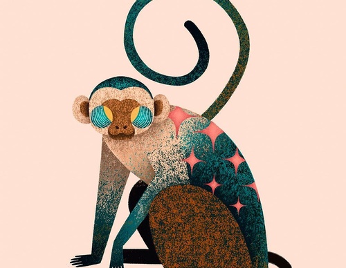 steve aparicio