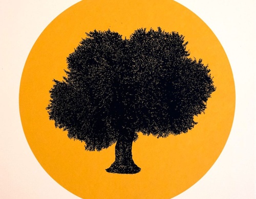 bashar alhroub