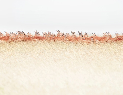 Gallery Of Photography By Marco Gaiotti - Brazil