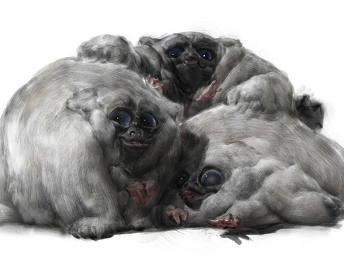 Gallery Of Illustration By Campbell White - USA