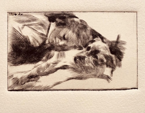 Galeria de Desenho de Andreas Vanpoucke-Bélgica