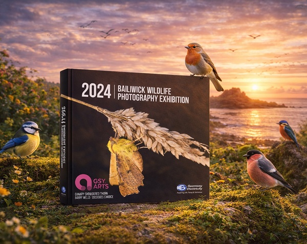 2024 Wildlife Photography Exhibition