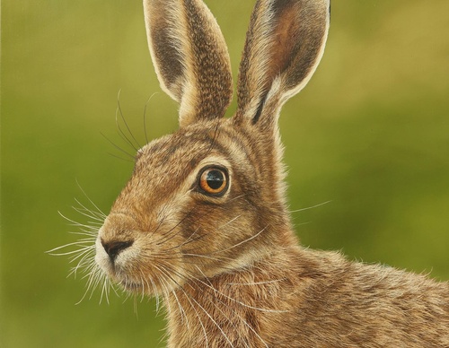 Galería de pintura realista de Annie Drew - Reino Unido