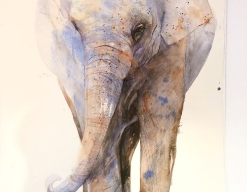 Gallery of Watercolor painting by Anette Gustafsson-Sweden