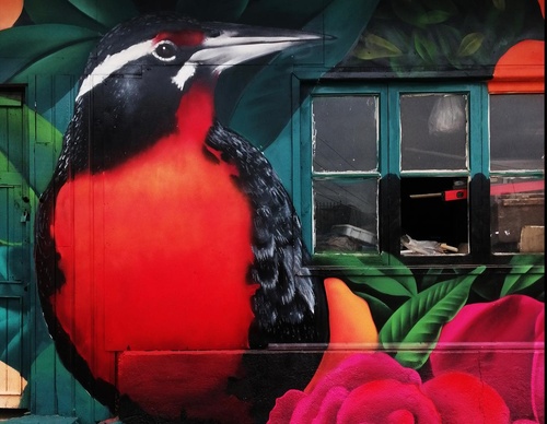 Galería de arte callejero de Kevin Galassi - Chile
