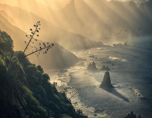 Gallery Of Photography By Max Rive - Netherlands