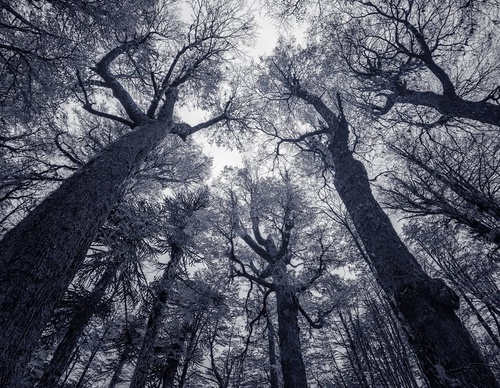 Gallery Of Photography By Rodrigo Viveros - Chile