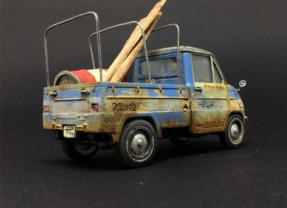 raphael truffi bortholuzzi brazil