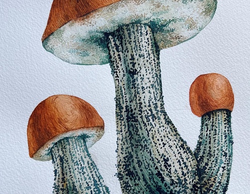 Gallery Of Painting By Rita Gould - United Kingdom