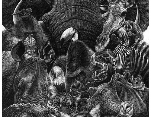 The Illustrated Animal – Ricardo Martínez