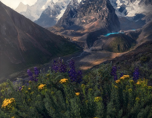 Gallery Of Photography By Max Rive - Netherlands