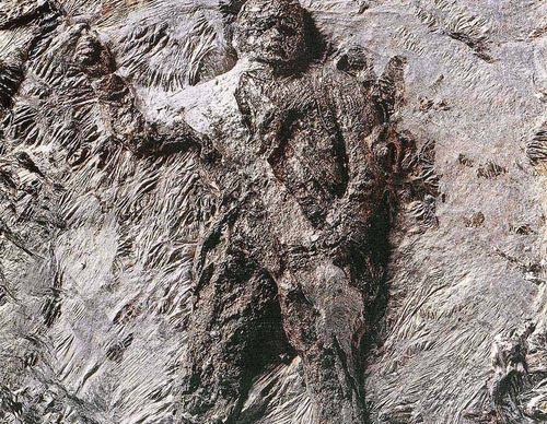 frieder grindler