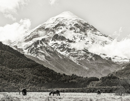 Galería de fotografía de Patricio Rodríguez - Argentina