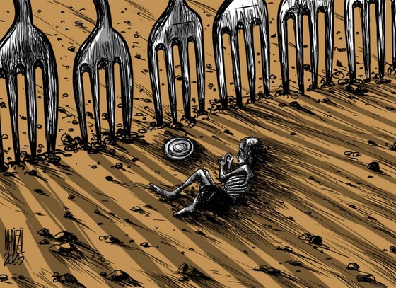 mahmoud rifai