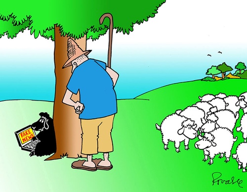 terror online cartoons