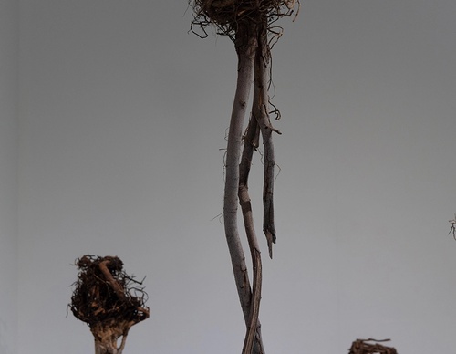 Galería De Arte Moderno De Beatriz Cortez - Ecuador