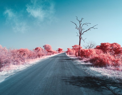 Gallery Of Photography By Paolo Pettigiani - Italy