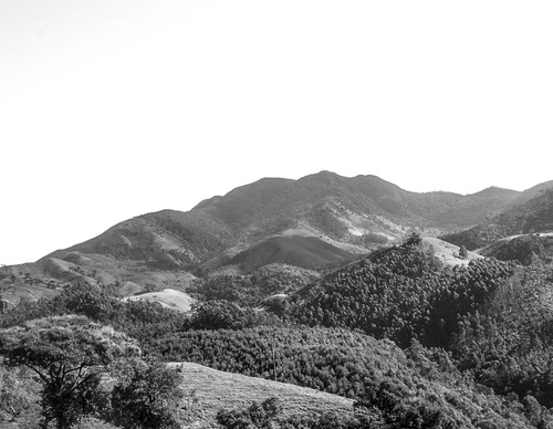 Gallery of photography by Gustavo Bettini-Brazil