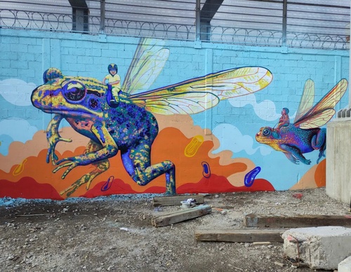 Galería de arte callejero de Nashi Bime - México