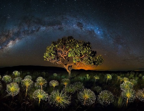 Galería de fotografía de Marcio Cabral - Brasil