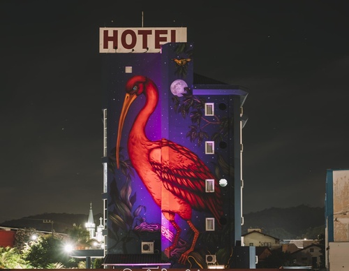 Gallery Of Street Art By Bailon - Brazil