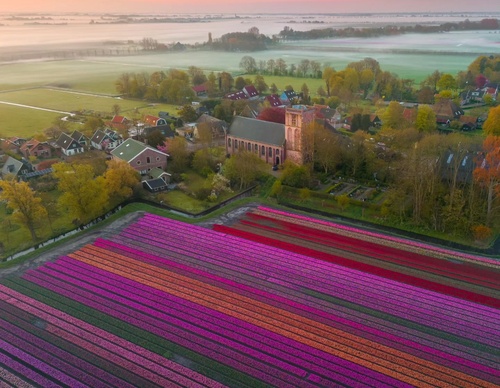 Gallery Of Photography By Albert Dros - Netherland