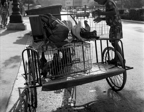 Gallery Of Photography By Manuel Almenares - Cuba