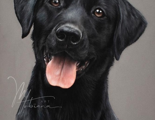 Gallery Of Realistic Painting By Tubiana Marion-France