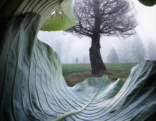 william smith