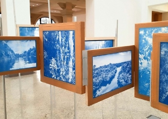 Exposición La Selva Azul en São Paulo