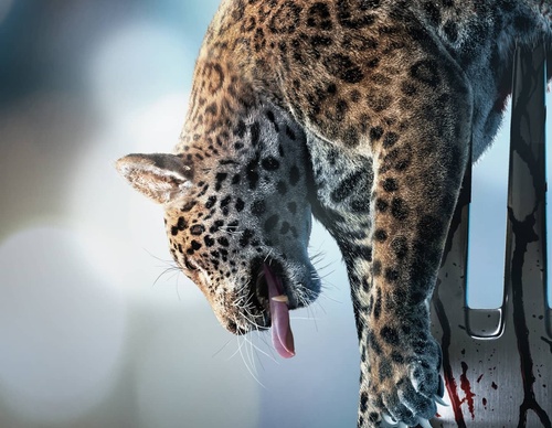 Gallery Of Illustration By Platinum Studio - Brazil