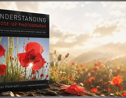 UNDERSTANDING CLOSE-UP PHOTOGRAPHY