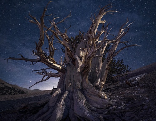 Galería de fotografía de Greg Boratyn - Argentina